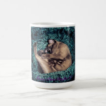 Burmese Cat Sleeping in Teal Cat Bed Mugs