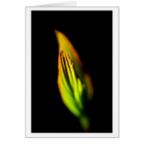 burn outdoors cards