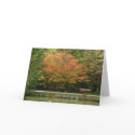 Burnaby's Central Park - Autumn colours cards