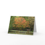 Burnaby's Central Park - Autumn colours cards