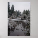 Burnaby's Central Park: Half-frozen Lower Pond posters