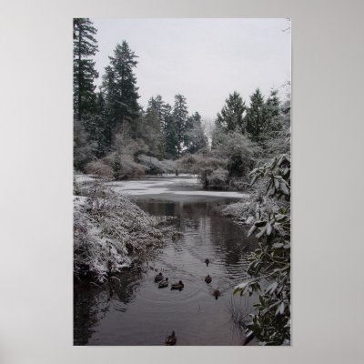 Burnaby's Central Park: Half-frozen Lower Pond Poster by kapulani