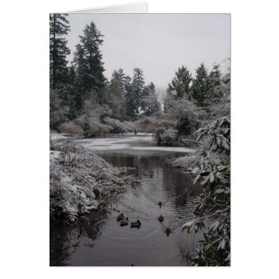 Burnaby's Central Park - Lower Pond Greeting Card by kapulani