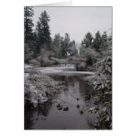Burnaby's Central Park - Lower Pond Greeting Card