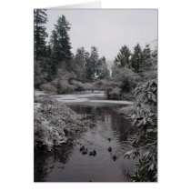 Burnaby's Central Park - Lower Pond Greeting Card