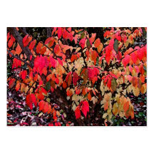 Burning Bush Abstract ATC Business Card Template