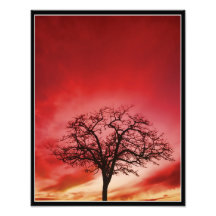 Burning Photo Art