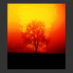 Burning Tree posters