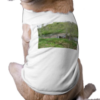 Burnside's Bridge, Antietam Creek, Sharpsburg, MD Dog Shirt by scenesfromthepast
