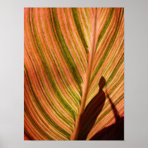 Burnt Print