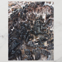 Burnt Tree Stump Flyer Design