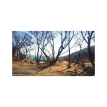 burnt trees canvas stretched canvas print
