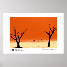 Burnt Trees - Photo of the Year Finalist Print
