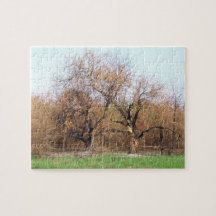 Burnt Trees - Terlton, OK, 2011 Puzzle