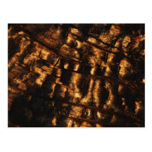 Burnt Wood Postcard