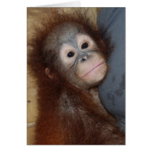 Burp the Baby Greeting Cards