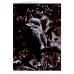 burra greeting card