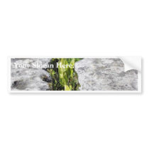 Burren Plants Limestone Rocks Bumper Sticker