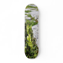 Burren Plants Limestone Rocks Skate Boards