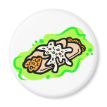 Burrito