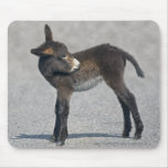 Burro Mousemat