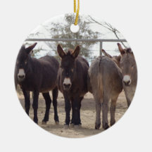 Burros Ornament