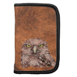 Burrowing Owl with Attitude, Bird Animal, Nature, Planners