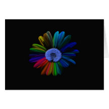 bursting flower cards