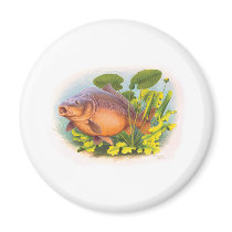 Bursting Mirror Carp Refrigerator Magnets