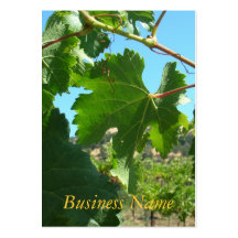 Bus Card - Grape Vine Business Cards