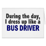 Bus Driver During The Day