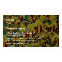 Bush In Blossom Business Card