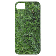 Bushes iPhone 5 Cases