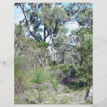 Bushland Flyer Design