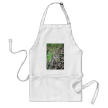Bushtit Aprons