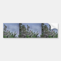 Bushtit Bumper Sticker