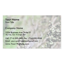 Bushtit Business Card