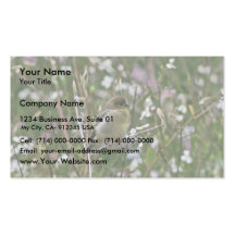 Bushtit Business Card