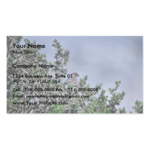 Bushtit Business Cards