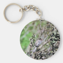 Bushtit Key Chain