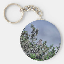 Bushtit Key Chains