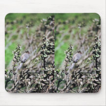 Bushtit Mousepad