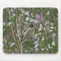 Bushtit Mousepad