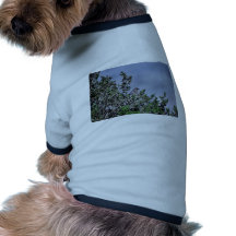 Bushtit Pet Tshirt