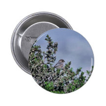 Bushtit Pinback Button