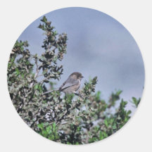 Bushtit Round Stickers