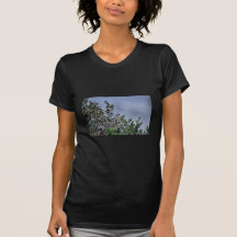 Bushtit Shirt