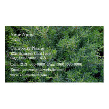 Bushy green background business card