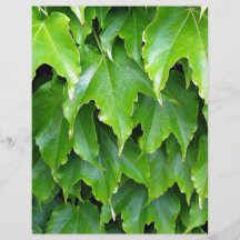 Bushy green leaves flyer