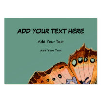 Business Card, Announcement, or Invitation